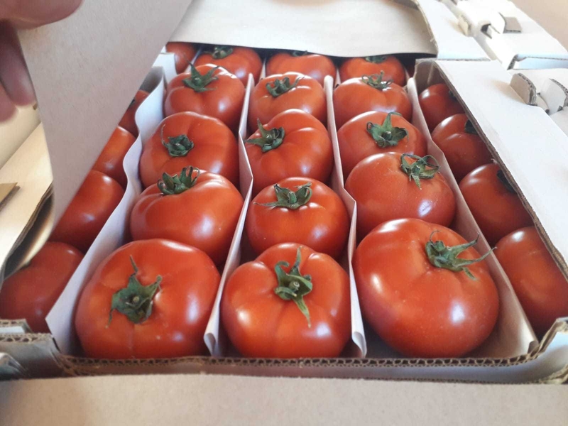 Помидоры........                                        - Изображение #6, Объявление #1724408