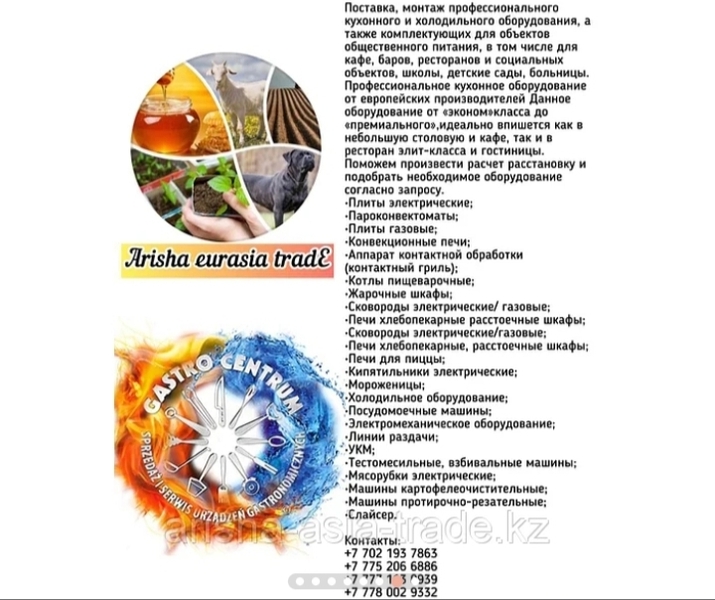 Фритюрницы профессиональные (Польша). - Изображение #3, Объявление #1725722