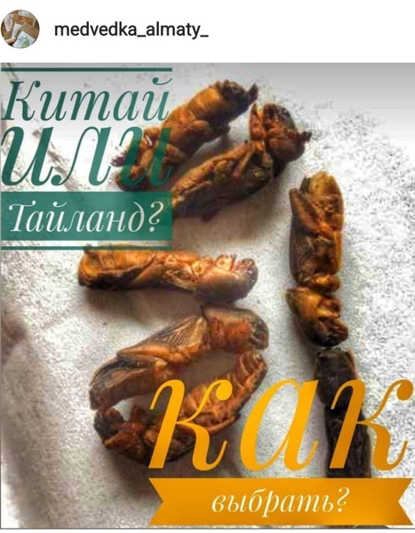 Сушеная азиатская медведка из Китая и Таиланда. Травы Алтая. Доставка в подарок! - Изображение #3, Объявление #1725283