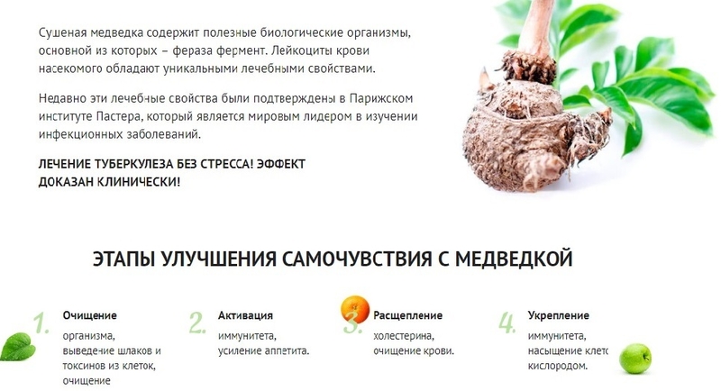 Азиатская медведка из Китая и Таиланда. Травы Алтая. Доставка в подарок. Скидки! - Изображение #6, Объявление #1725284