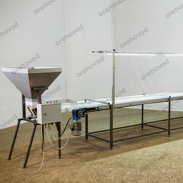 Инспекционный стол для сортировки грецкого ореха - Изображение #4, Объявление #1726213