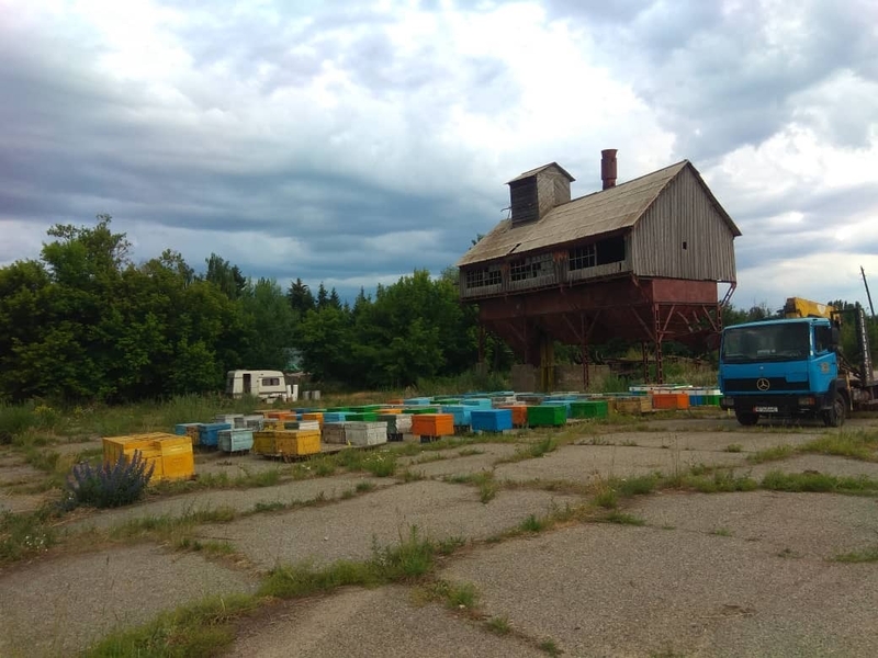 Горно Иссык-Кульский мёд. - Изображение #3, Объявление #1729518