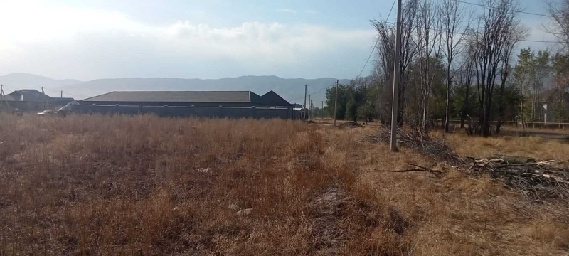 Продажа ровных участков Узынагаш. - Изображение #4, Объявление #1729125