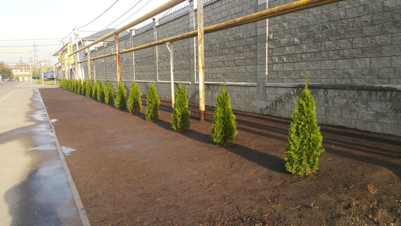 Автоматическая система полива опыт более 15 лет - Изображение #3, Объявление #302903