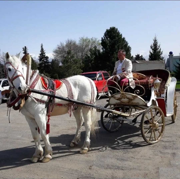 кареты, лошади, фаэтоны - Изображение #4, Объявление #1415344