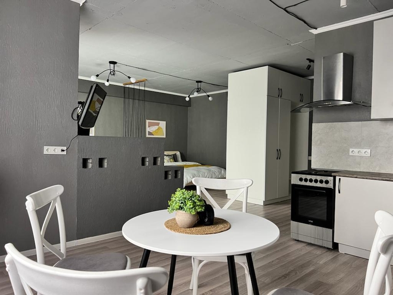 1 комнатная квартира софт-лофт - Изображение #7, Объявление #1737384