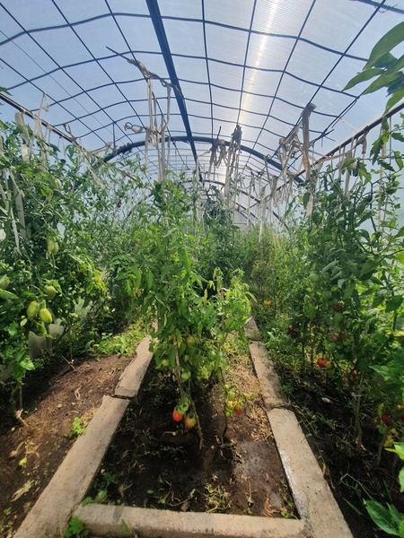 Дача/участок 6 соток. Кооператив "Политехник". Фёдоровка - Изображение #6, Объявление #1738216