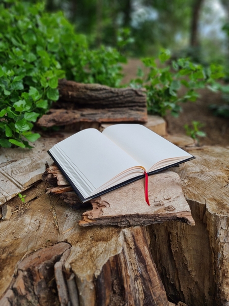 Гримуар из кожи на заказ, кожаная книга желаний, блокнот ручной работы - Изображение #1, Объявление #1738218