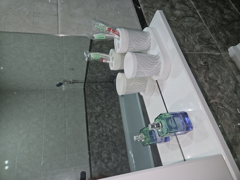 Посуточно сдам квартиру в Алматы  - Изображение #8, Объявление #1740175