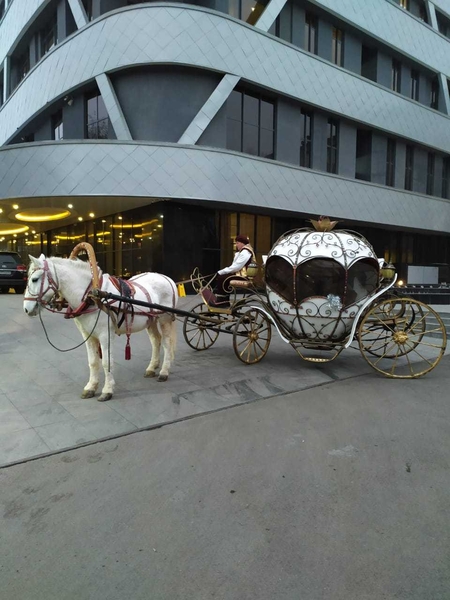 карета - Изображение #5, Объявление #1740442