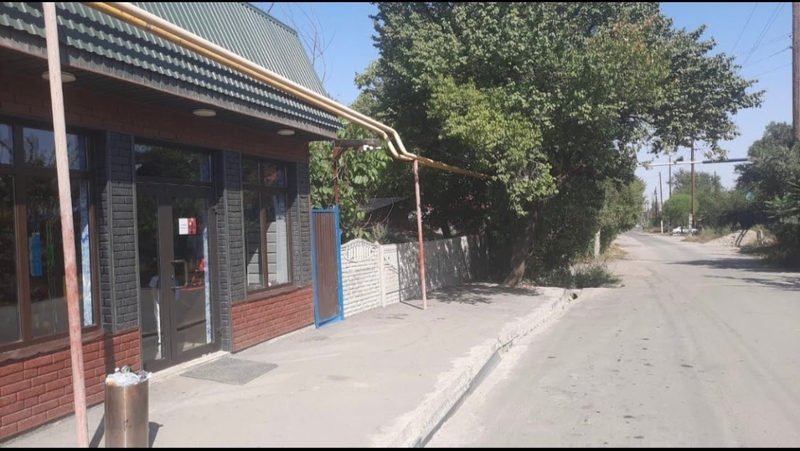 Продам дом с магазином готовый бизнес  - Изображение #8, Объявление #1742543