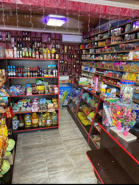 Продам дом с магазином готовый бизнес  - Изображение #10, Объявление #1742543