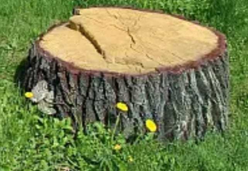 Изготовим под заказ декоративные валуны , булыжники, крышки на септики - Изображение #6, Объявление #1743552