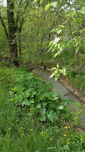 Дача с домом и участком в пригороде Алматы - Изображение #4, Объявление #1744507