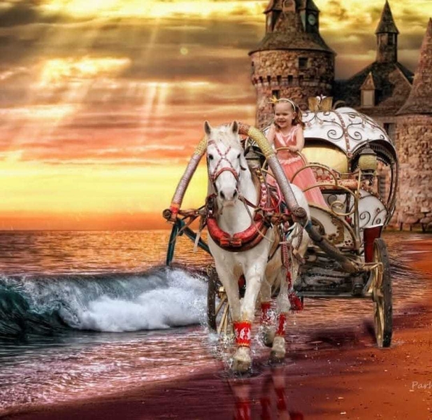 карета в алматы - Изображение #2, Объявление #1748908