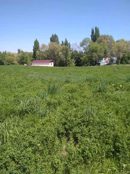 Продажа участка 635 соток в пригороде Алматы - Изображение #8, Объявление #1748915