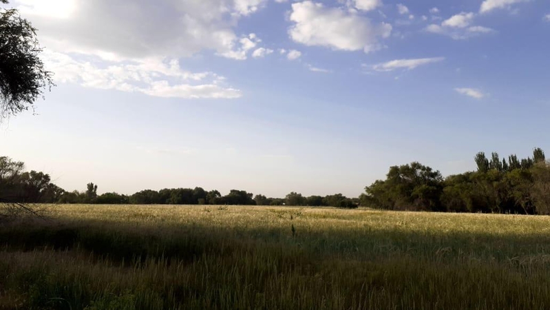 Продажа участка 635 соток в пригороде Алматы - Изображение #3, Объявление #1748915