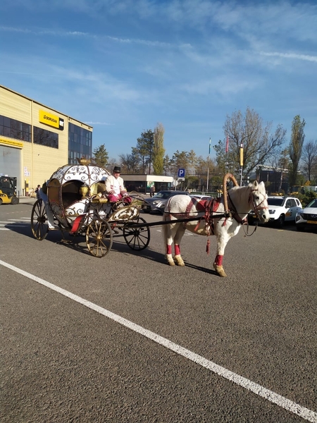 Аренда кареты для мероприятий  - Изображение #4, Объявление #1750542