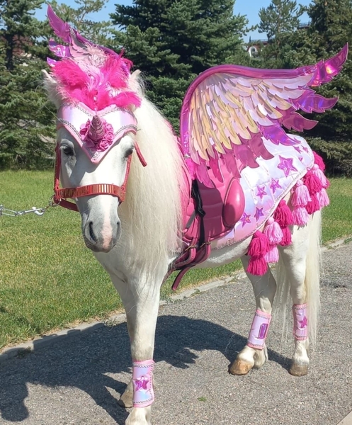 Аренда кареты , пони, лошадей  - Изображение #6, Объявление #1750543