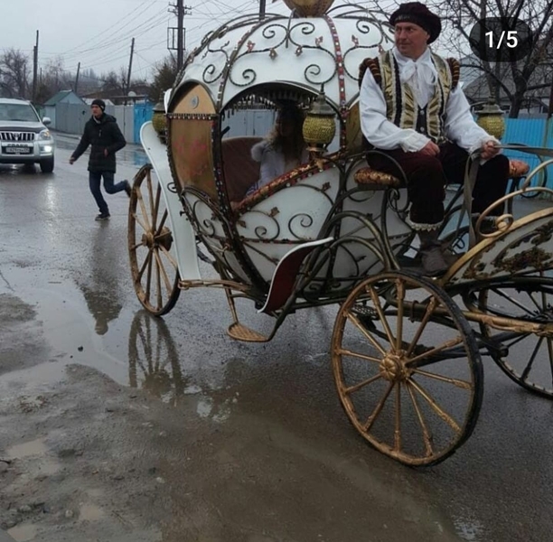 Аренда кареты , пони, лошадей  - Изображение #10, Объявление #1750543