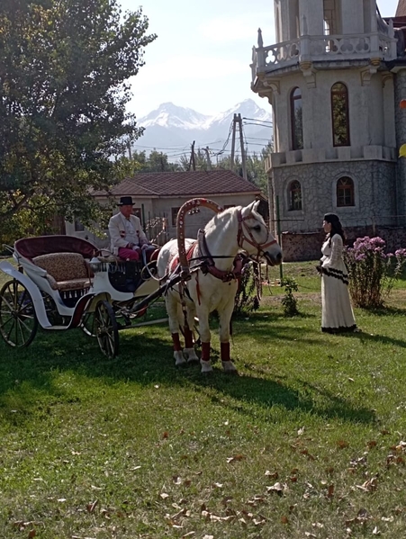 Аренда кареты для мероприятий  - Изображение #1, Объявление #1750542