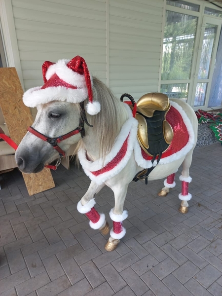 Аренда кареты , пони, лошадей  - Изображение #9, Объявление #1750543