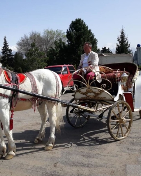 Аренда кареты для мероприятий  - Изображение #3, Объявление #1750542