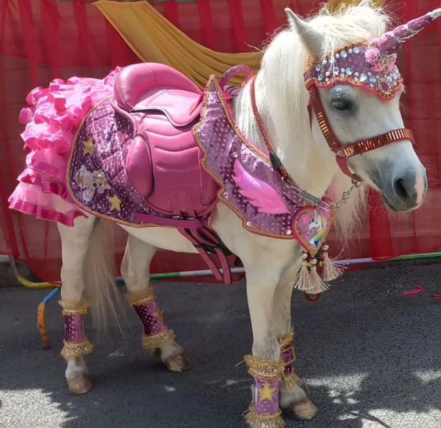 Аренда кареты , пони, лошадей  - Изображение #2, Объявление #1750543