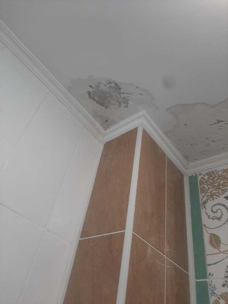 Удаление пятен на потолке 100% гарантия - Изображение #1, Объявление #1751900
