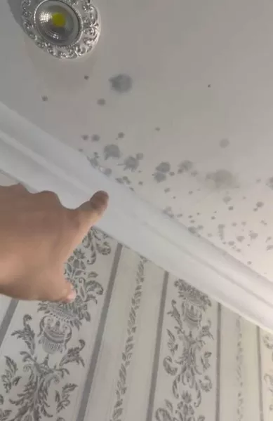 Удаление пятен на потолке 100% гарантия - Изображение #3, Объявление #1751900
