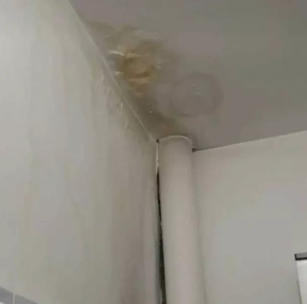 Удаление пятен на потолке 100% гарантия - Изображение #5, Объявление #1751900