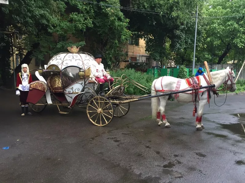 Карета, свадебная карета - Изображение #2, Объявление #1752517