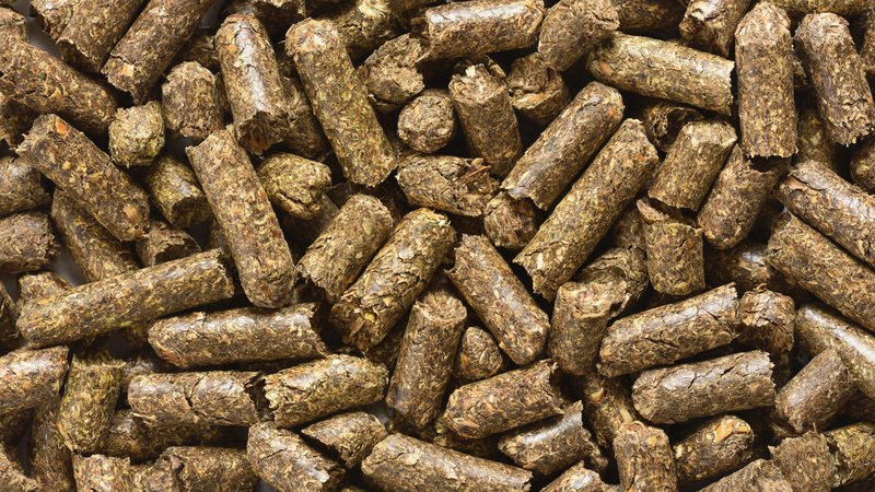 Гранулы из люцерны, люцерна в гранулах, гранула кормовая - Изображение #2, Объявление #1753400