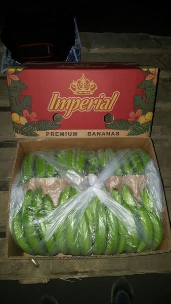 фрукты для оптовиков - Изображение #5, Объявление #59208